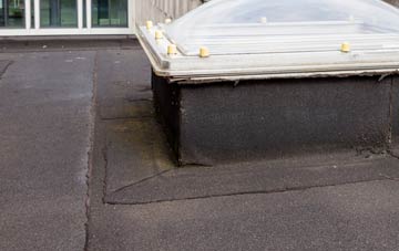 disadvantages of Haggrister flat roofs