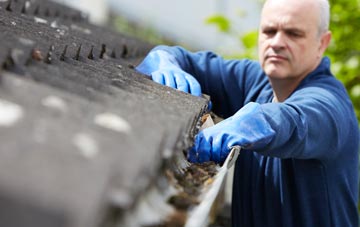 cleaning and inspecting Haggrister roofs